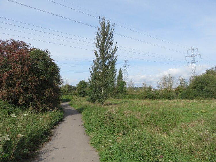 Entering Portishead Ecology Park