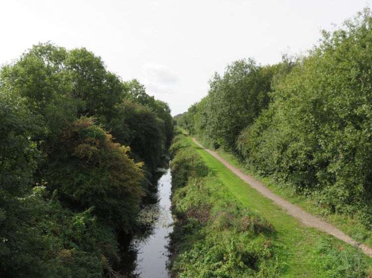 View of The Rhyne from the Schweich Bridge