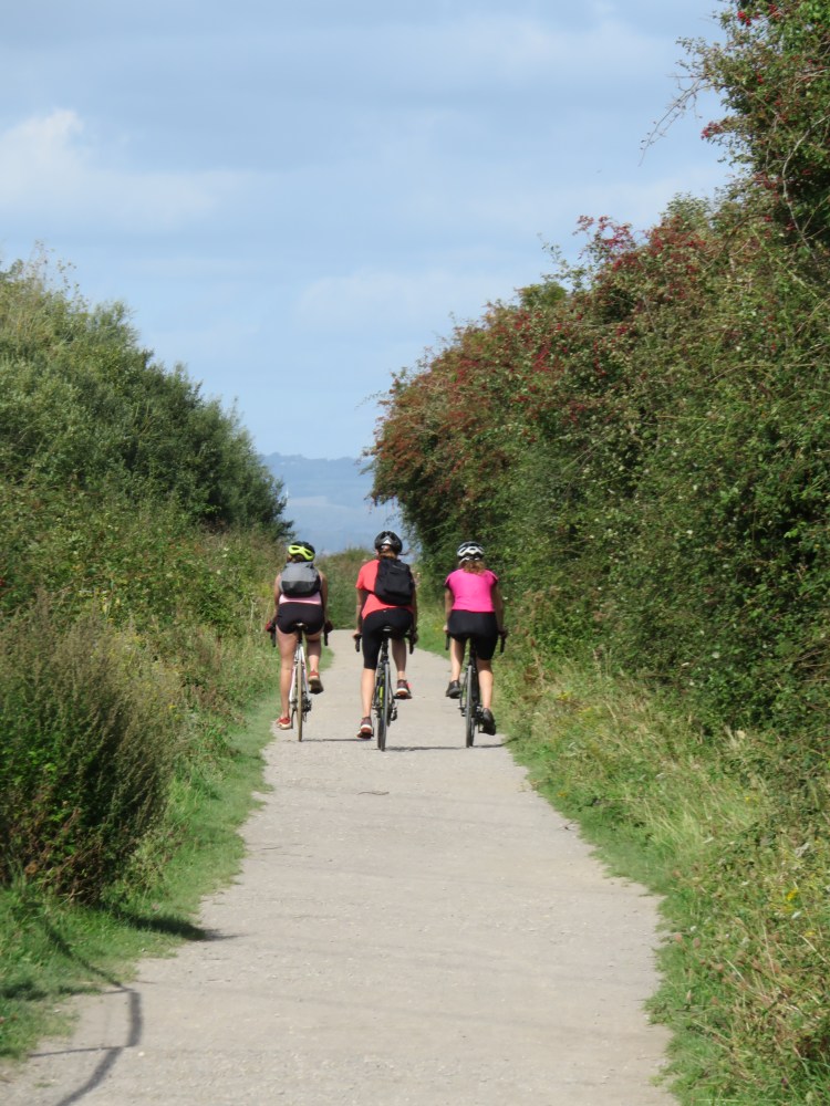 Looking back up the dry weather route towards the estuary