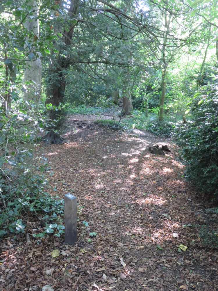 Look for the stairway hidden in the woods above the marker