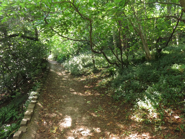 The path down through the periwinkles