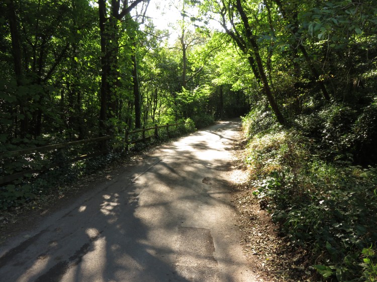 Walking along The Dingle