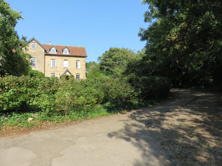 Follow the track up into the woods