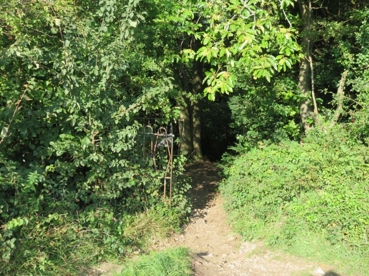 The hidden entrance to the woods at Kings Weston Hill
