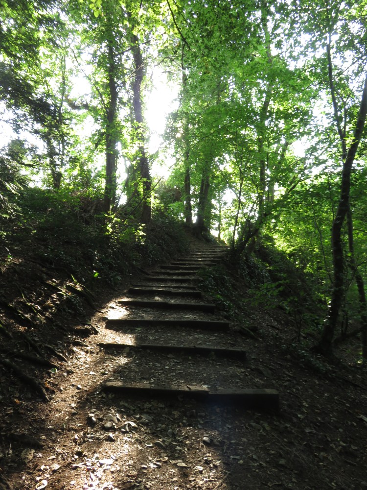 The path down from Kings Weston Hill