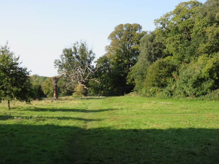 Walk past the dead trees