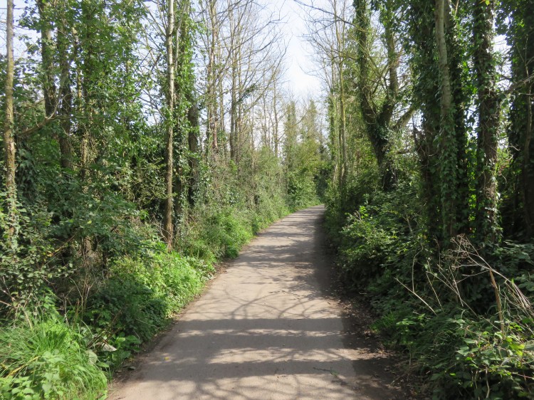 Tree-lined Wharf Lane