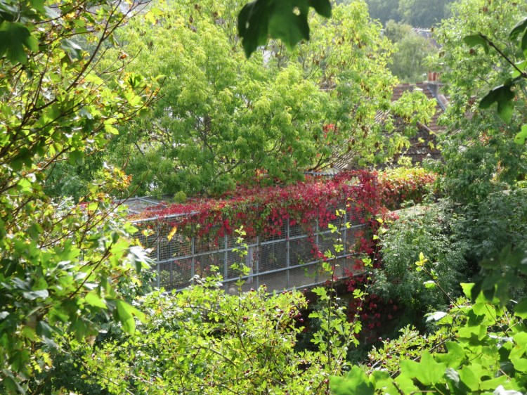 The bridge back to St. Werburgh’s