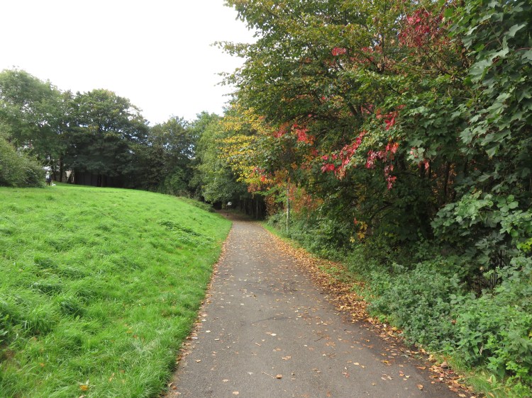 Autumn colours on the Malago Greenway