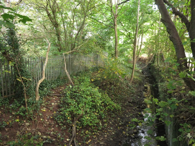 The Malago makes its appearance from beneath the railway line