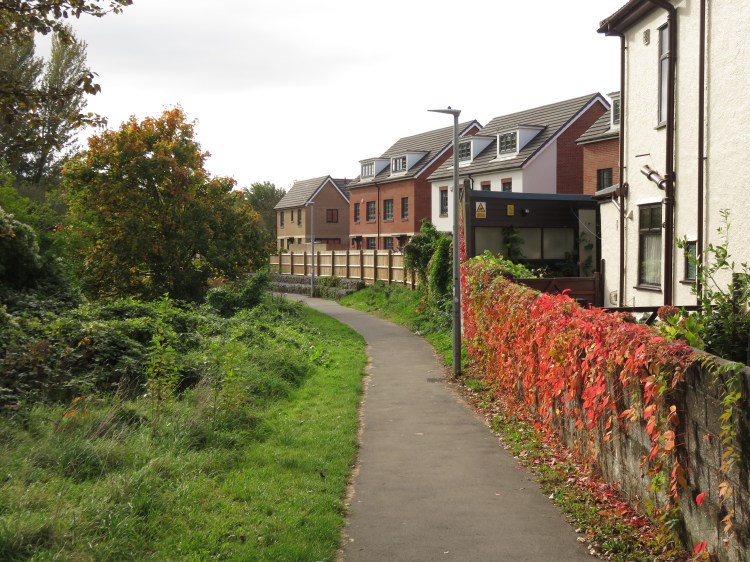 Alongside the Malago near Bedminster Road