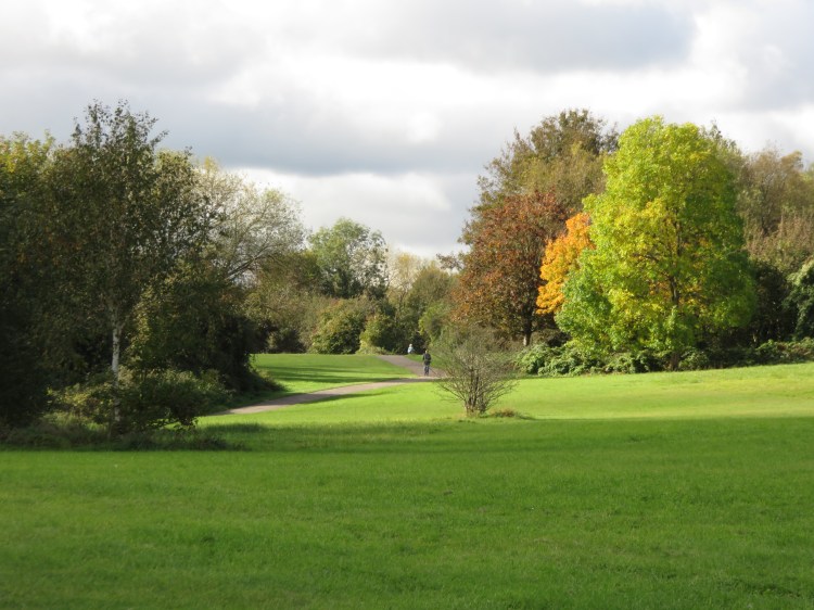 More autumn colours in Manor Woods Valley