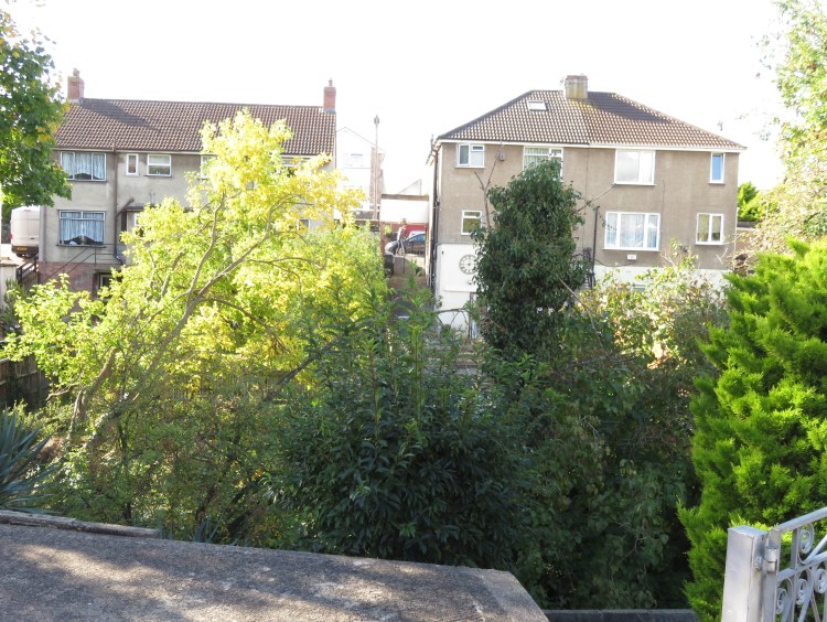 The Malago valley at Pentire Avenue