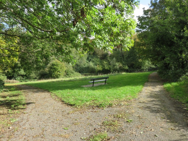 Arriving at Crox Bottom