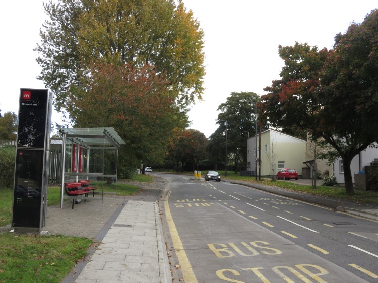 Autumnal trees on Novers Lane