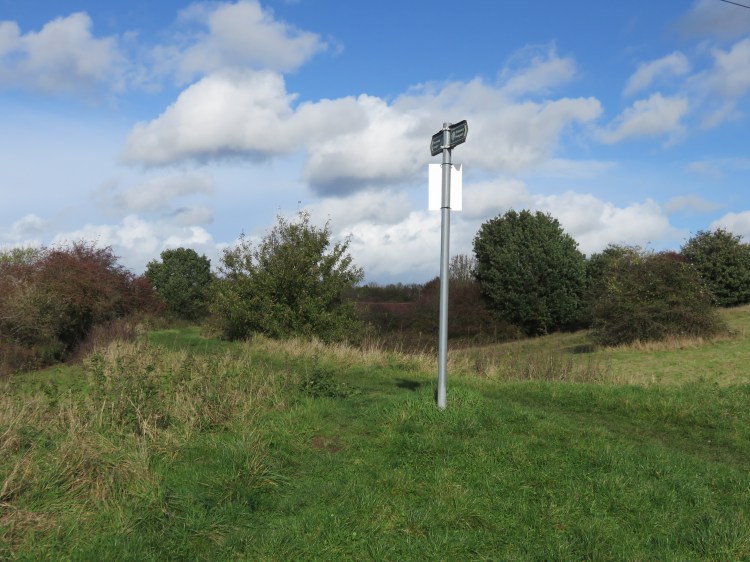 The dismantled tramway crosses the common