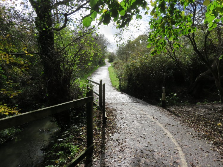 Crossing the Warmley Brook on the Ring Road Path