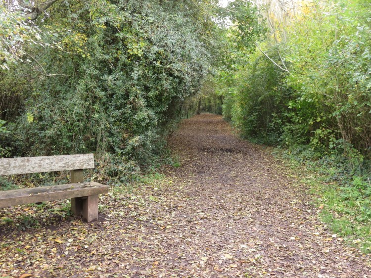 On the path of the old tramway