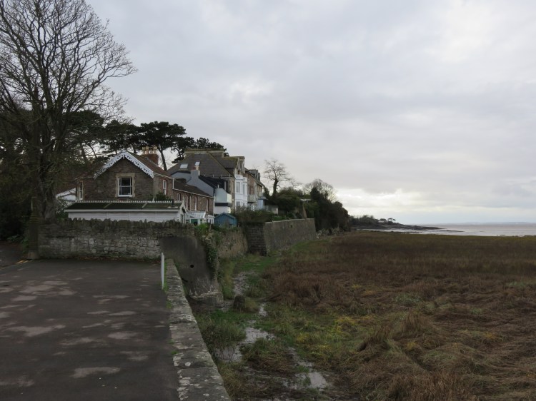 Houses on Beach Road West look out over the estuary