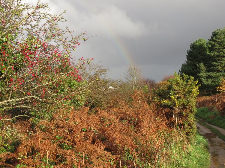 Autumn sun and a rainbow on the return journey