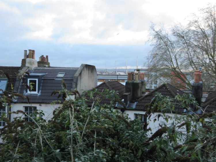 View over the chimney pots towards the s.s. Great Britain