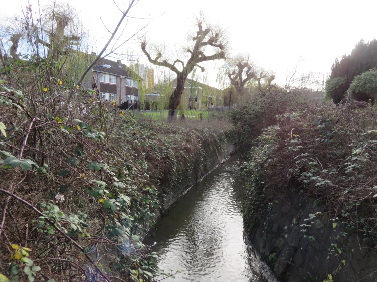 Crossing Brislington Brook at The Rock