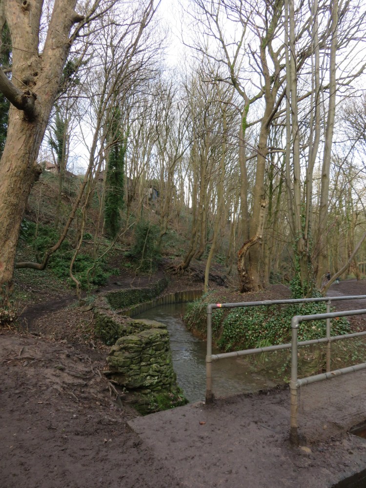 The first footbridge in Nightingale Valley