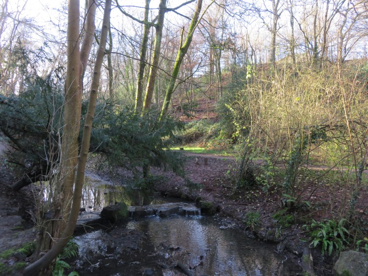 Crossing Brislington Brook at St. Anne’s Wood