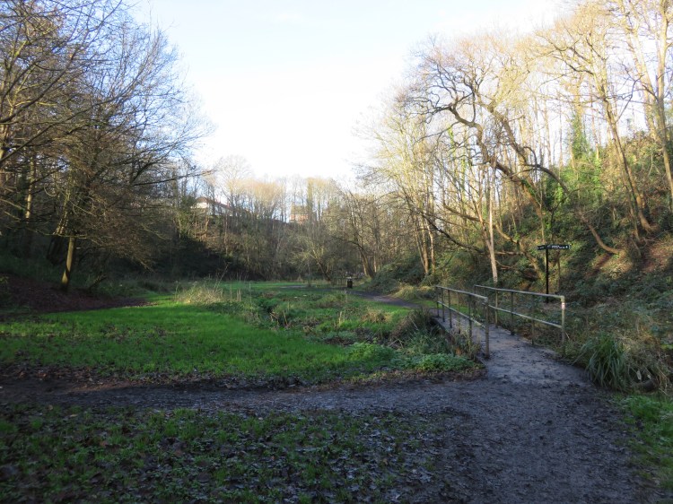 The meadow at St. Anne’s Wood