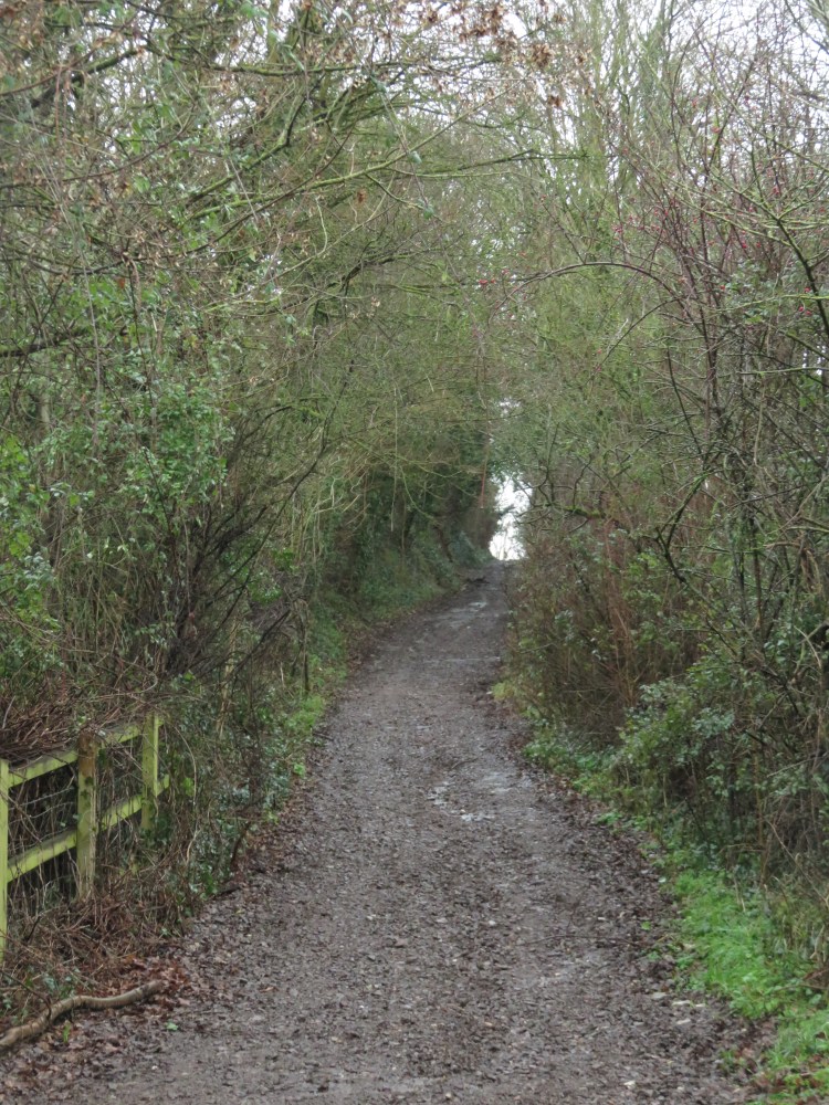 At the bottom of Enginehouse Lane
