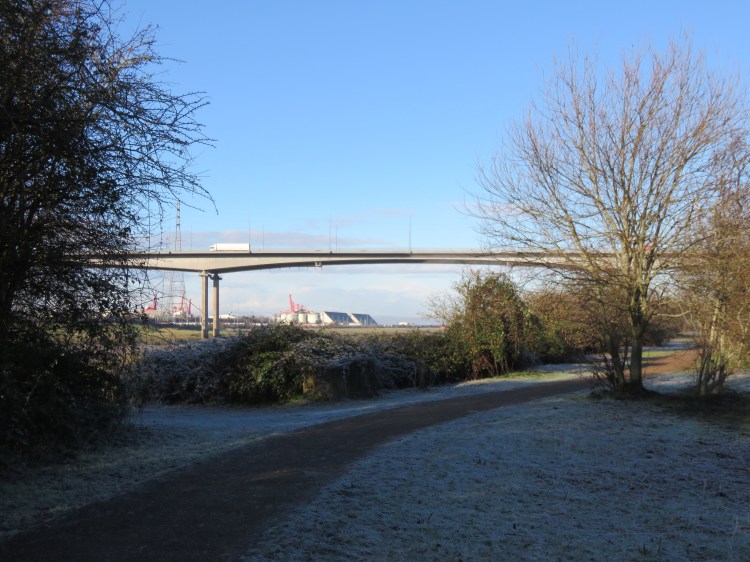 A frosty Lamplighter’s Marsh