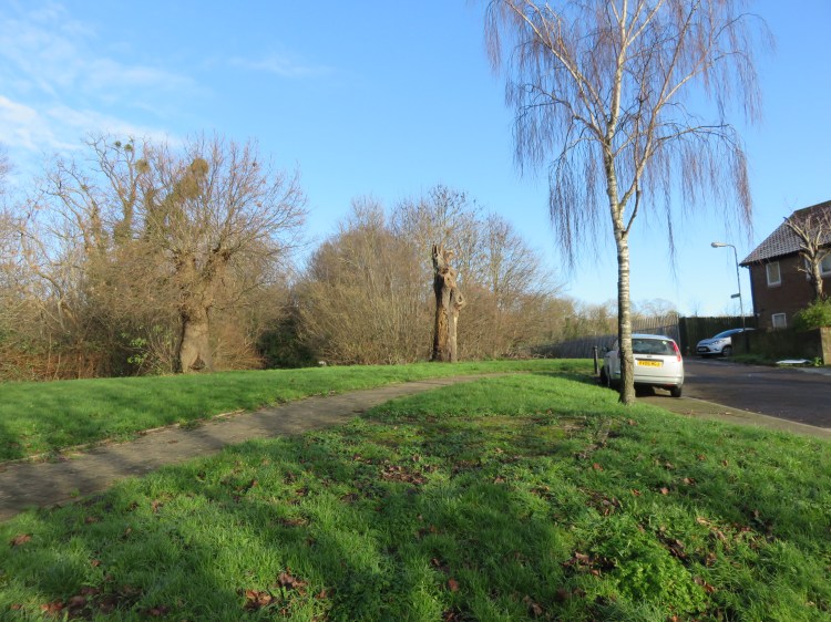 Climb to the footpath at Oaktree Court