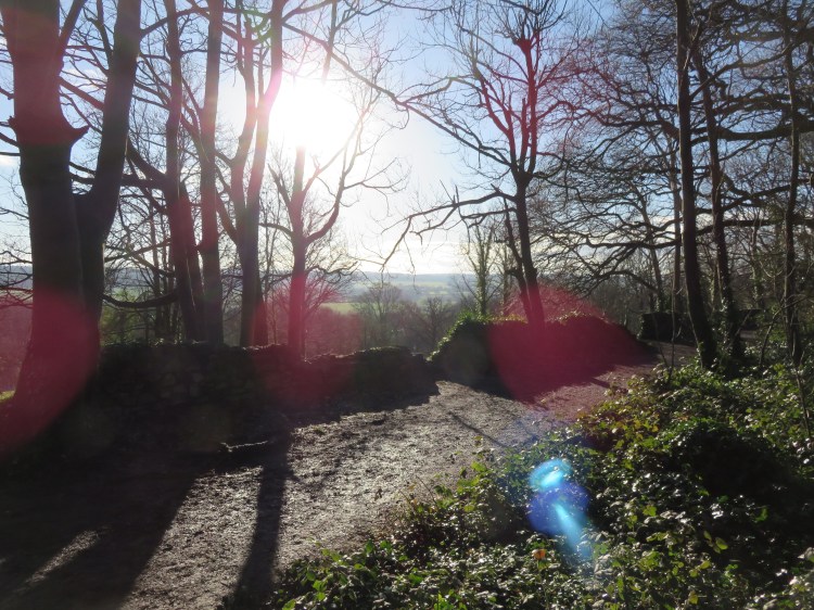 The higher footpath at King’s Weston Estate