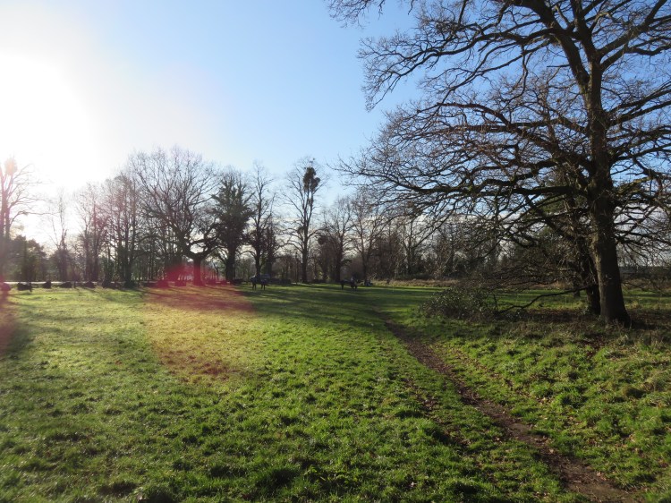 Cut across the field