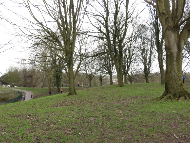 On the old embankment of Ashton Avenue