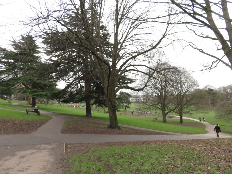 Entering Greville Smyth Park