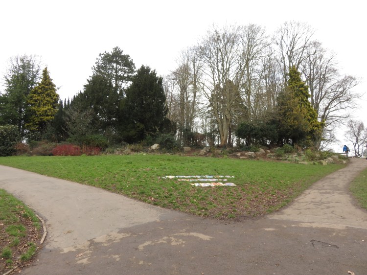 Greville Smyth Park shrubbery