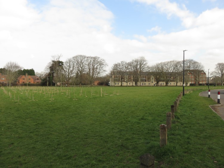 The green at Ham Green