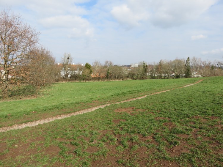 Take the rough path across the grassland