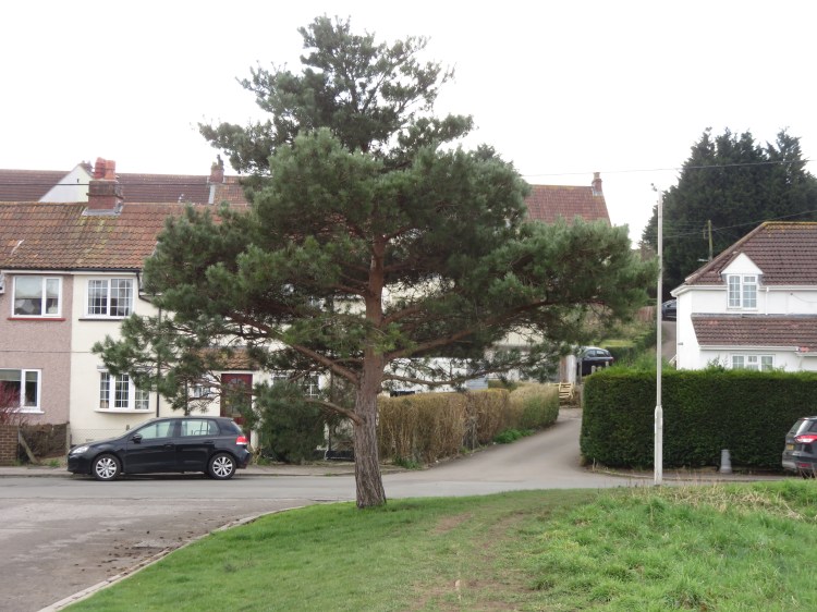 Go straight on up the hill at Avon Road