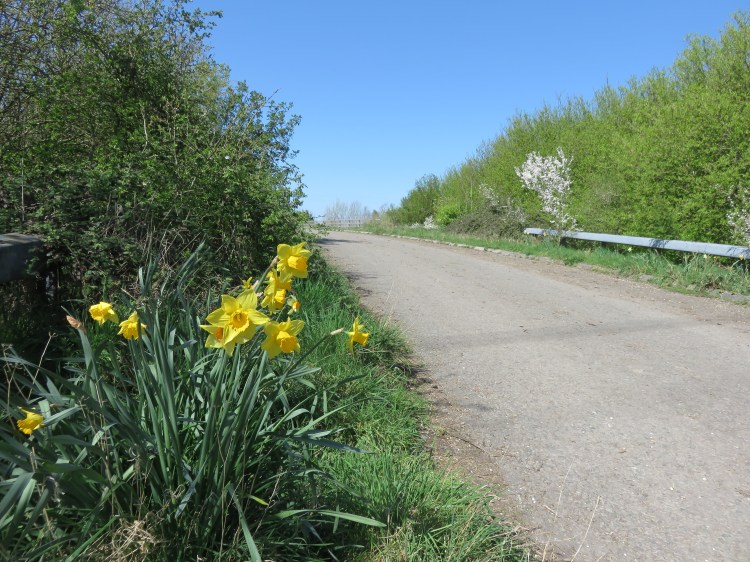 Approaching the M49 bridge on Moorhouse Lane