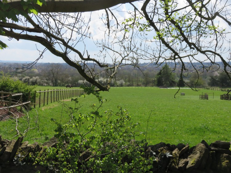 View from the top of Bury Hill