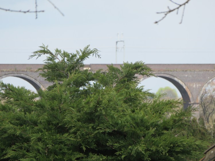 The distant railway viaduct is glimpsed beyond trees off Bury Hill