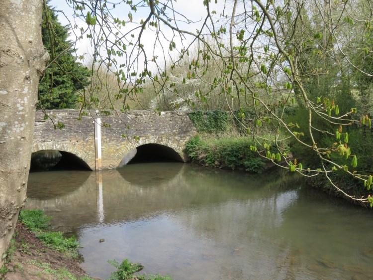 The bridge over the Frome at Down Road, seen from The Dingle