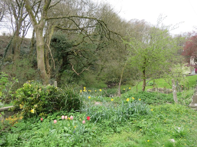 The River Frome at The Dingle