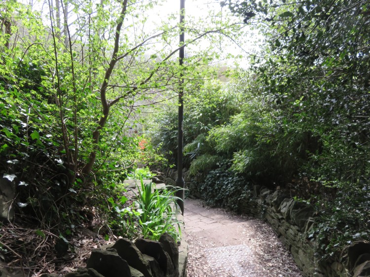 Mill Steps, Winterbourne Down