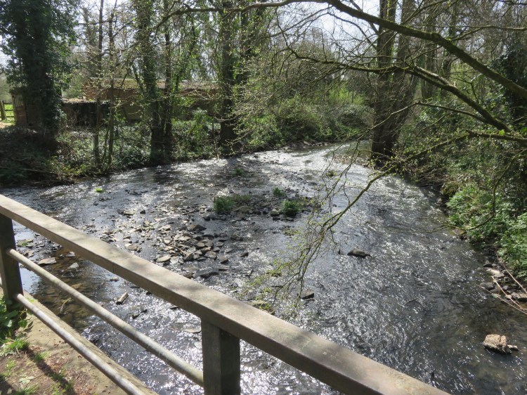 Crossing the Frome just off Mill Road