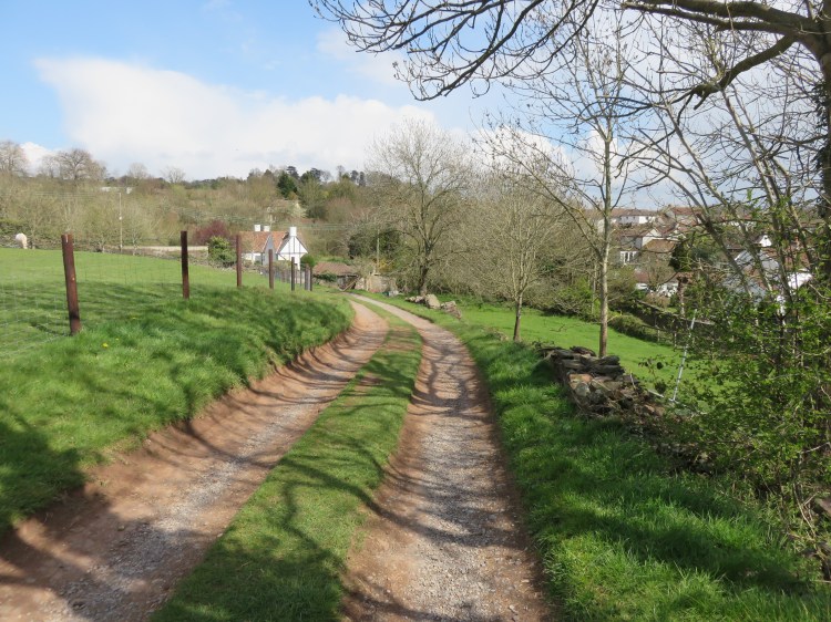 The track at Brook Farm