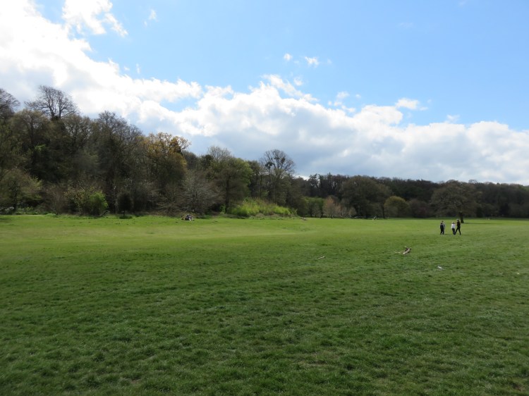 The initial view across Blaise Castle Estate