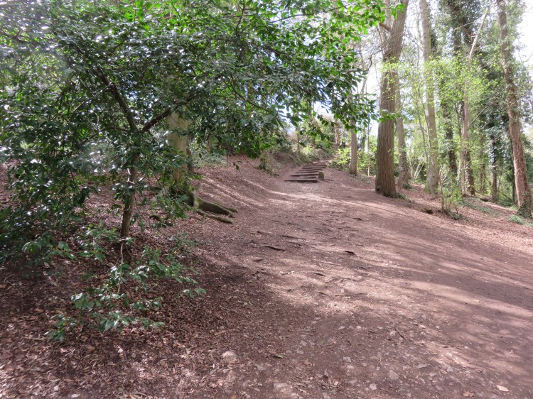The steps to Kings Weston Hill